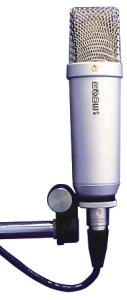 The Rode NT1, one of our standard recording mics